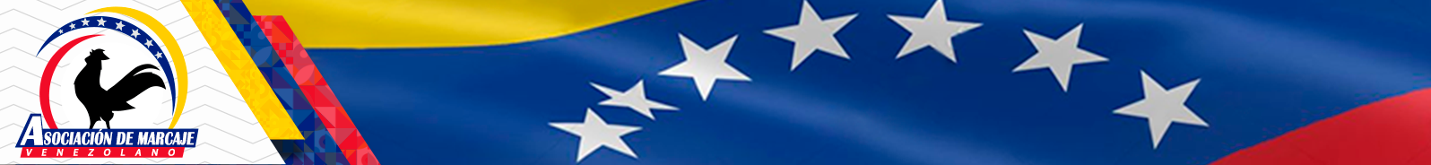 Marcajes Panama/Costa Rica